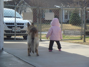 Medium_picture211