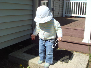 Medium_picture218